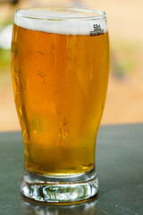 glass of beer on the table showing bubbles and a foam head closeup concept relaxation and craft beer industry
