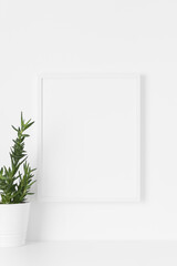 White frame mockup on the wall with a  aloe vera.