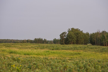 Elk Island National Park on a Smoky Summer Evening