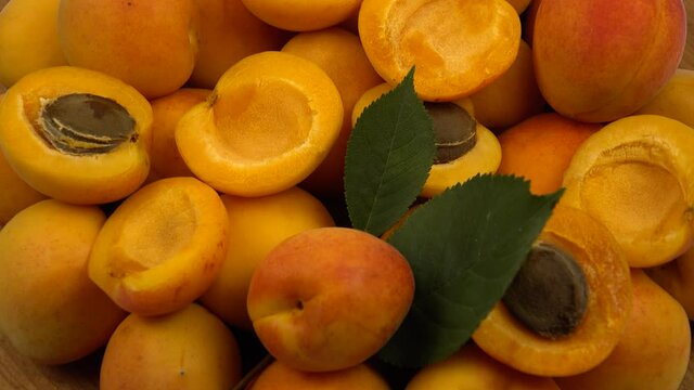 Ripe whole apricots and apricot halves with kernels inside lie on the green leaves of an apricot tree, background