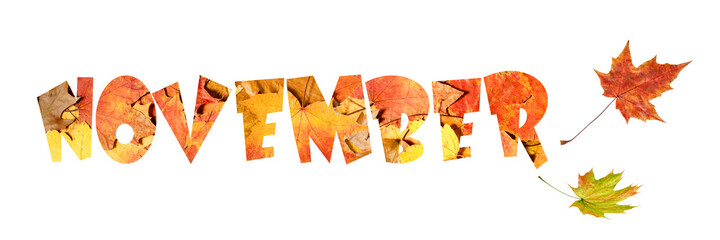 Autumn  November background with word from fallen leaves. Fall banner with copy space. 3D illustration