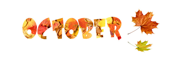 Autumn  October background with word from fallen leaves. Fall banner with copy space. 
