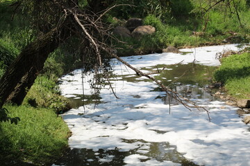 Paisaje triste de un  arroyo contaminado