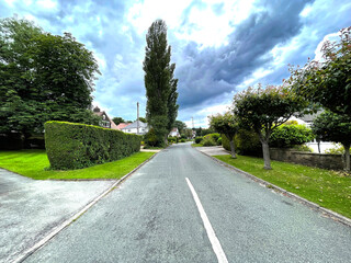 Looking along Moorway, with trees, bushes, and houses, on a cloudy day in, Guiseley, Leeds, UK
