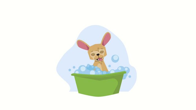 Bath animation