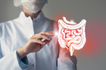 Unrecognizable doctor holding highlighted handrawn Intestine in hands. Medical illustration,...