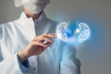 Fototapeta na wymiar Unrecognizable doctor caring highlighted blue handrawn Kidneys. Medical illustration, template, science mockup.