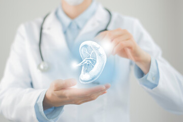 Female doctor holding virtual volumetric drawing of spleen in hand. Handrawn human organ, raw photo...