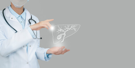 Unrecognizable doctor holding highlighted handrawn Gall Bladder in hands. Medical illustration,...