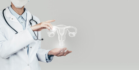 Unrecognizable doctor holding highlighted handrawn Uterus in hands. Medical illustration, template, science mockup.