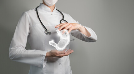 Unrecognizable doctor holding highlighted handrawn Stomach in hands. Medical illustration, template, science mockup.