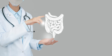 Unrecognizable doctor holding highlighted handrawn Intestine in hands. Medical illustration, template, science mockup.