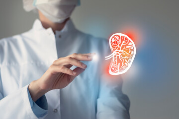 Female doctor holding virtual sketchy drawing of spleen in hand. Handrawn human organ, copy space on right side, raw photo colors. Healthcare hospital service concept stock photo. - obrazy, fototapety, plakaty