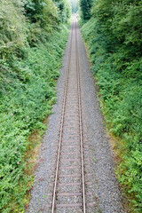 Obraz premium Eisenbahnschiene durchs Grüne