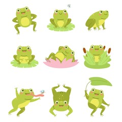 Cute frogs. Lotus flowers and funny cartoon toad character, different poses aquatic reptile, wild fauna, happy frogling in reeds. Beautiful amphibian mascot. Vector cartoon set