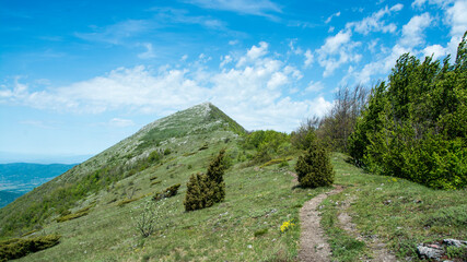 Beautiful landscape, Suva Planina (The dry mountain), Serbia