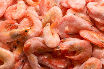 Fresh shrimps in ice. Top view.