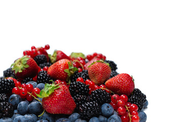 Blackberry, raspberry, blueberry,  red currant and mint background.