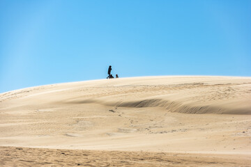 Fototapeta na wymiar Sand dunes in Jockey's Ridge State Park. Located in Nags Head, North Carolina.It is a tallest sand dune system in the eastern United States.