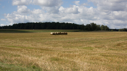 A beveled field with stacked haystacks and a blue sky with white clouds. Light and shadow.