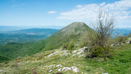 Beautiful landscape, Suva Planina (The dry mountain), Serbia