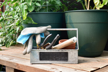 Backyard garden potting table with garden tools and planters of home grown organic vegetables