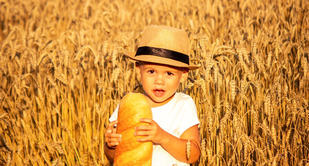 child eating a loaf in a wheat field. Selective focus