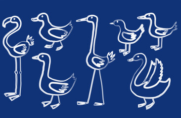 Vector contour drawings of different cartoon water birds
