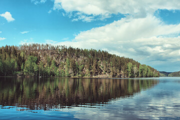 lake and forest