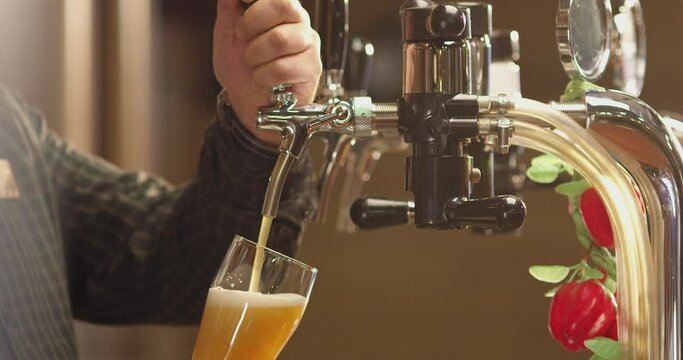 Pouring cold beer into glass. Bartender pouring craft beer in the bar. The hand of a master brewer pour from keg a light draft beer foam . Stout, Light, Unfiltered beer, ready to drink . Slow motion .
