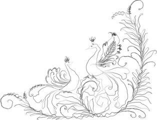 Vector outline floral corner with decorative curved birds and twigs with leaves and tendrils doodles