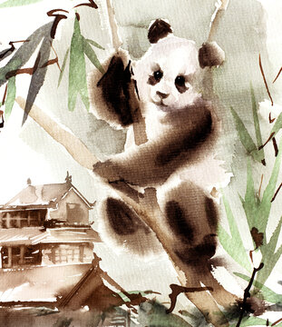 Watercolor panda bear
