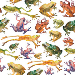 pattern with colourful frogs on white background