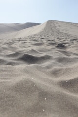 Close-up arena en deseirto