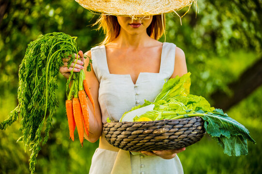 Young Woman With Vegetable Basket In A Garden