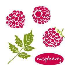 Raspberry. Colorful paper cut collection of fruits and berries isolated on white background. Doodle hand drawn fruits. Vector illustration