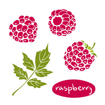 Raspberry. Colorful paper cut collection of fruits and berries isolated on white background. Doodle hand drawn fruits. Vector illustration