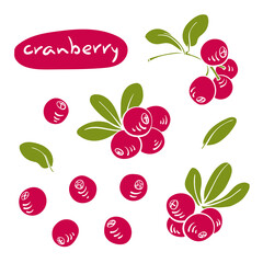 Cranberry. Colorful paper cut collection of fruits and berries isolated on white background. Doodle hand drawn fruits. Vector illustration
