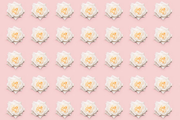 Floral white rose pattern