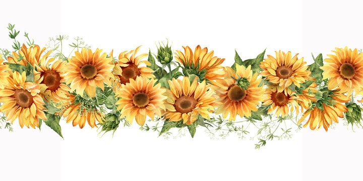Sunflower seamless pattern. Watercolor horizontal border. Yellow rural flowers for rustic wedding invitation, thanksgiving card, fall design ets. Illustration isolated on white background