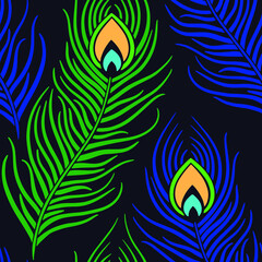 Colorful peacock feathers. Seamless pattern element. Vector illustration.
