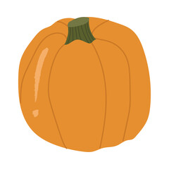 Orange whole pumpkin, autumn decorative.Vector hand drawn
