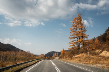 Autumn mountain road landscape. Altai.