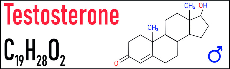 Chemical molecular formula hormone testosterone. Infographics illustration. 