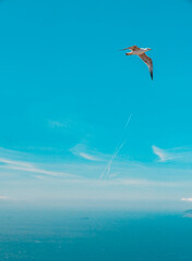 TIERRA MAR Y AIRE