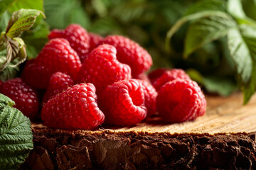 Fresh juicy raspberries with leaves.