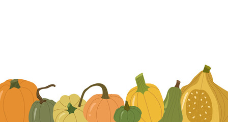 Colored pumpkin frame, autumn vegetable whole and slice.