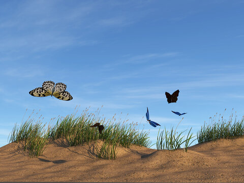 Illustration of several butterflies flying over sand dunes in late afternoon light.