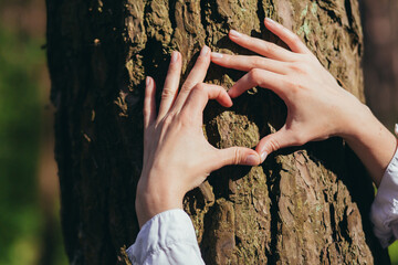 hands of a young woman hug a tree in the forest and show a sign of heart and love for nature