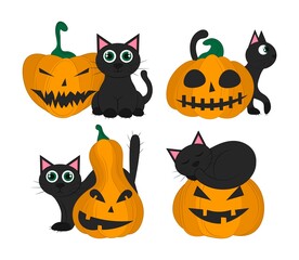 Set of black cats with pumpkin isolated on a white background. Set of objects  for Halloween. Vector flat illustration. Holiday symbols. 